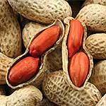 10 Foods High In Protein - peanuts image