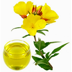 Herbs for hair growth - evening  primrose image